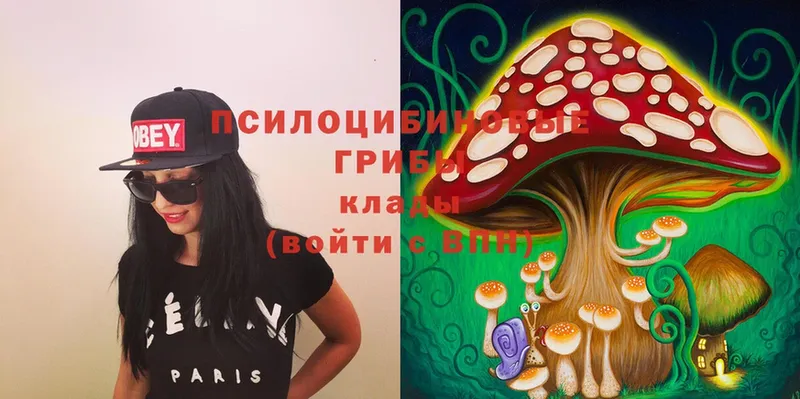 МЕГА ссылки  Салават  Галлюциногенные грибы Magic Shrooms 